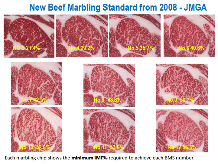 Steak Marbling Chart